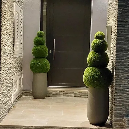 Elite Luxury