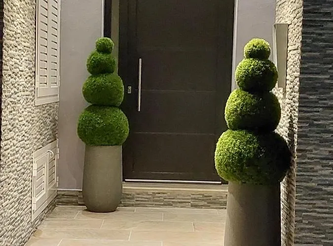 Elite Luxury